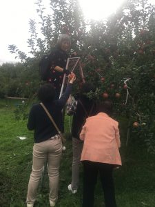 img_1328
