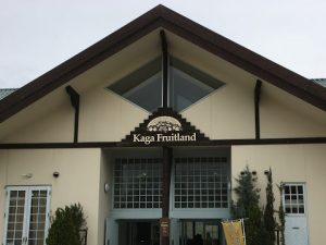 【フルーツ狩り】イチゴ狩りイベントを開催しました